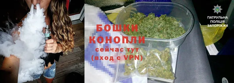 Бошки Шишки VHQ  Гусиноозёрск 